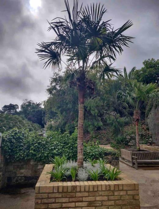 Smugglers At Botanic Garden * Ventnor